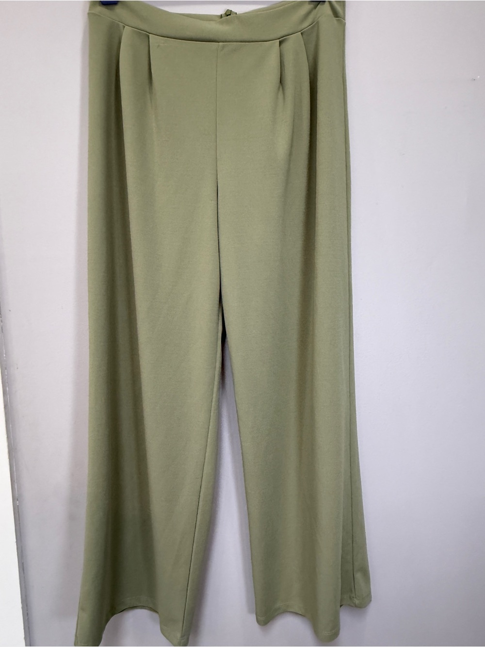 Fashion Nova High-Rise Wide Leg Pants in Sage Green